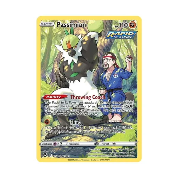 PASSIMIAN-SILVER-TEMPEST Passimian - Silver Tempest Trainer Gallery
