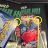 Druddigon - Silver Tempest Trainer Gallery (Damaged)